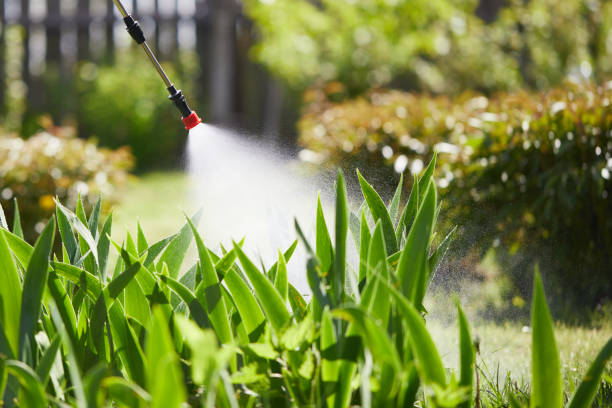 24/7 Emergency Wasp Removal experts in Deephaven, MN