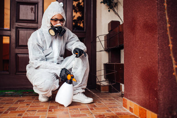 Reliable Wasp Removal contractor in Deephaven, MN by Show Me Pest Control